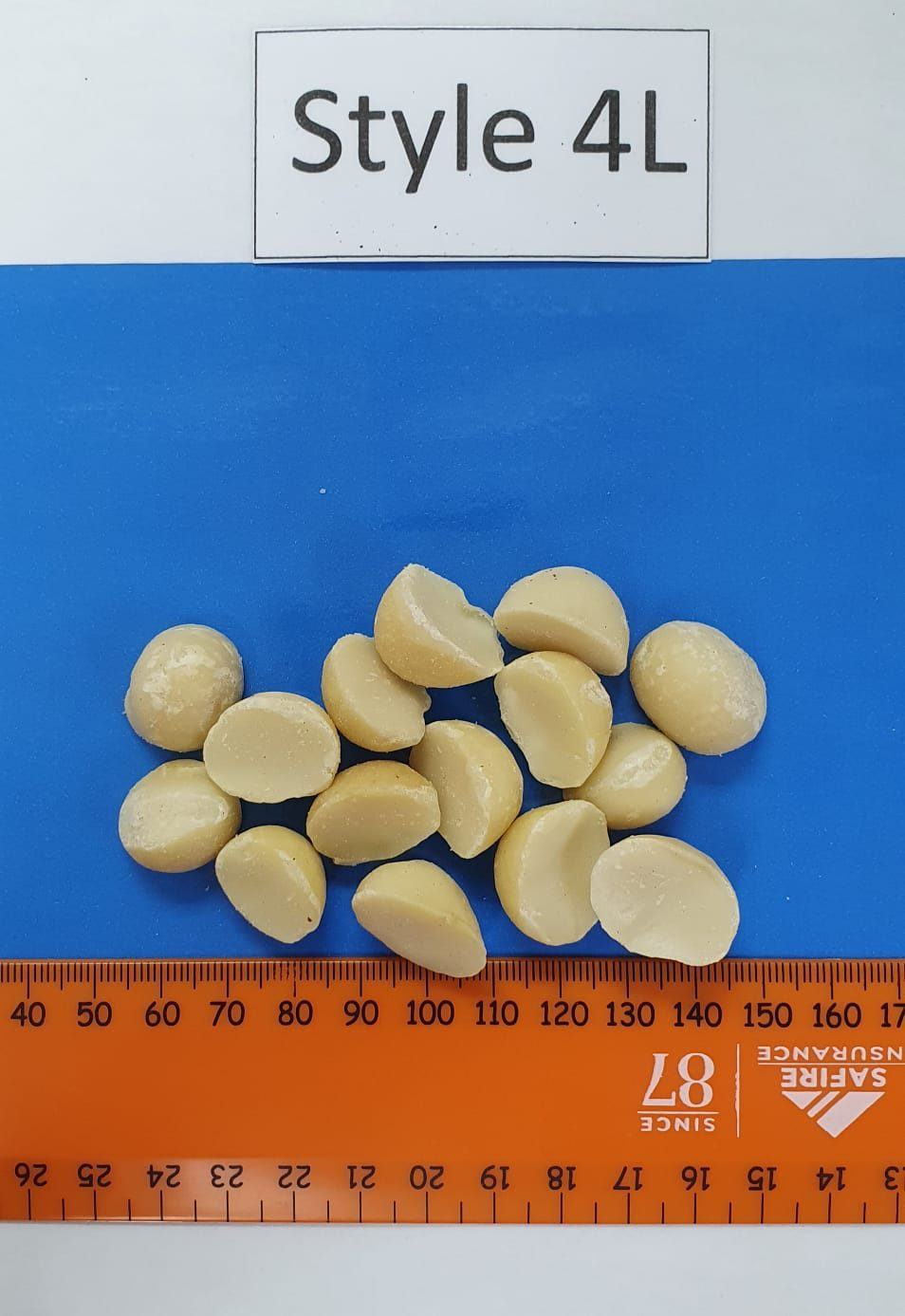 Style 4L macadamia kernels laid out on a blue board above a millimetre ruler